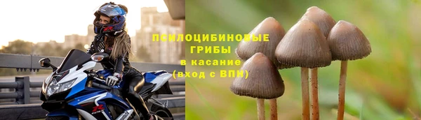 прущий лед Вязьма