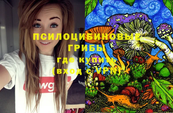 индика Киров