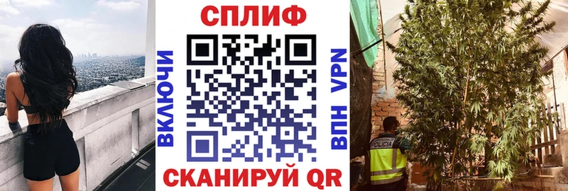 Конопля сатива  закладки  Данков 